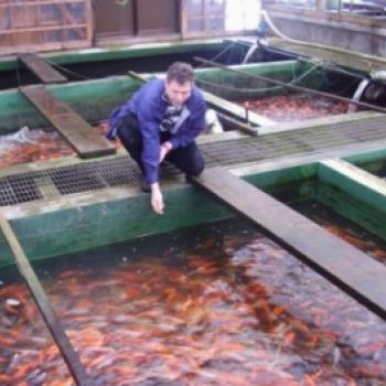 Japanreise 2007 Bauer Stefan